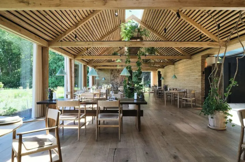  Celebrated Copenhagen restaurant ‘Noma’ set to close down in Winter 2024