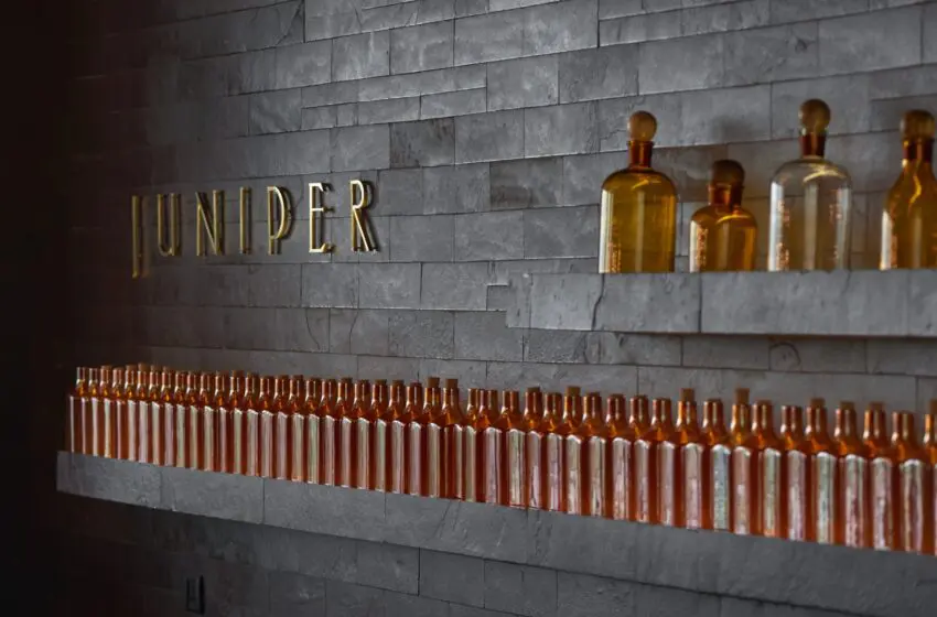  Bars turn their focus on gins   