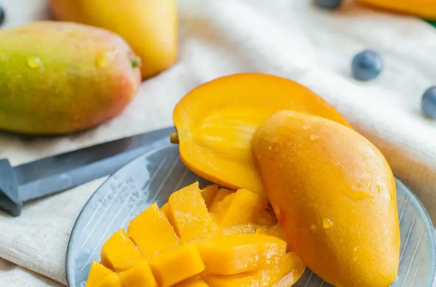  The best monsoon mangoes of India; How we got the world’s most expensive mango here