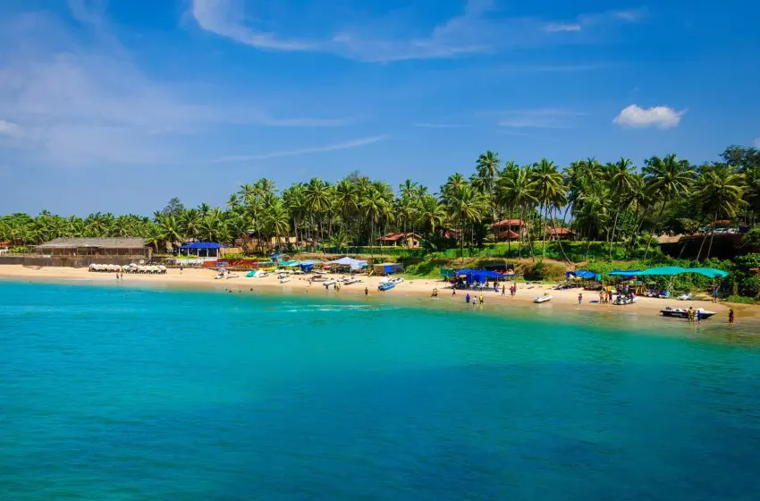  Why Goa is the perfect distillery destination 