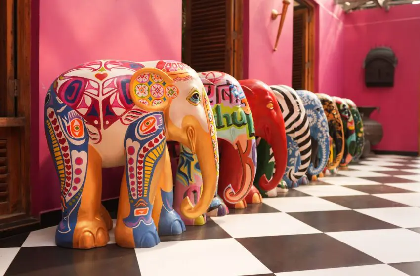 Hyderabad’s newest eatery will leave you feeling pink