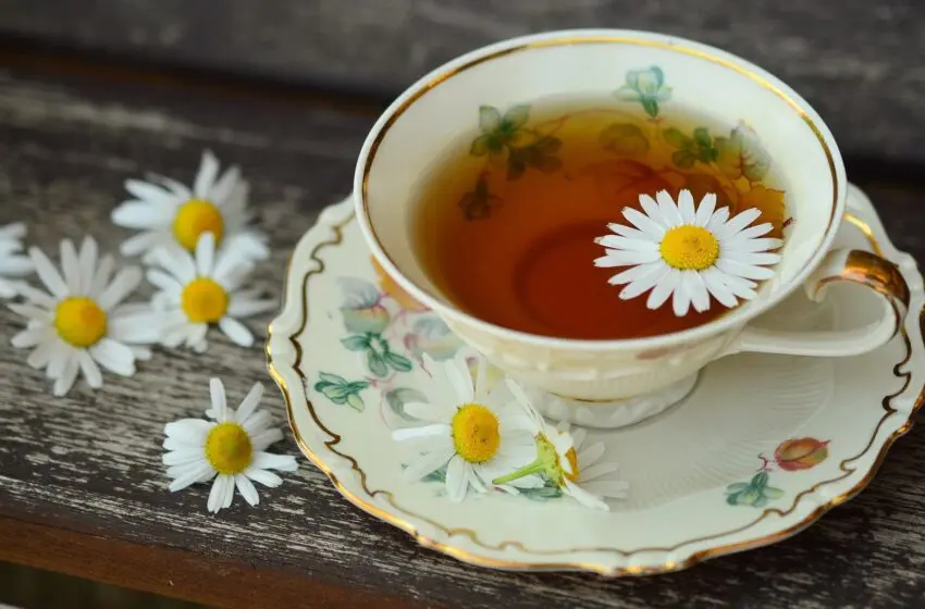  International tea day: Most expensive teas in the world