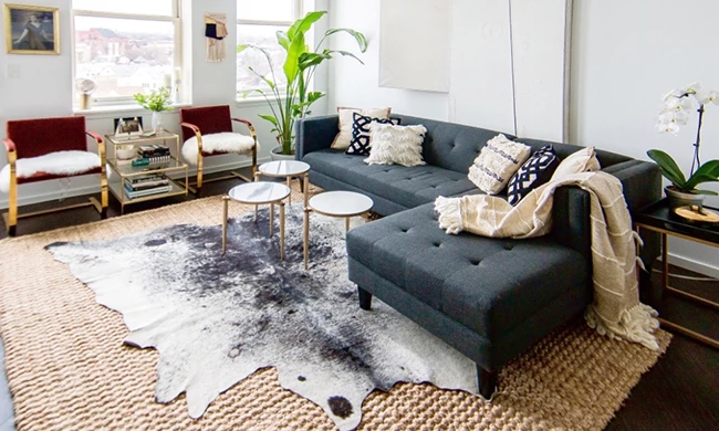  How Cocoon Fine Rugs’ Founder Ayush Choudhary created a global brand