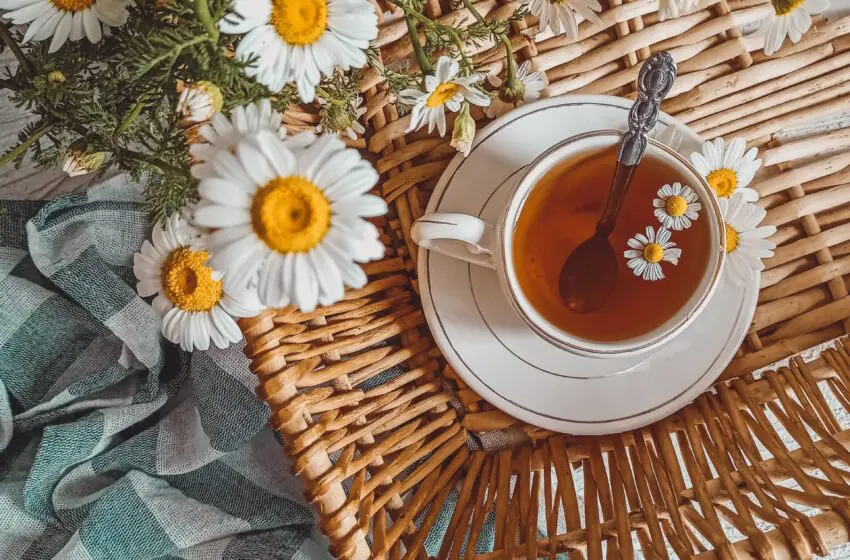  The best caffeine-free teas to sip on before bed