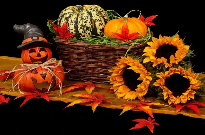  Get your spook on this Halloween at these thrilling events near you