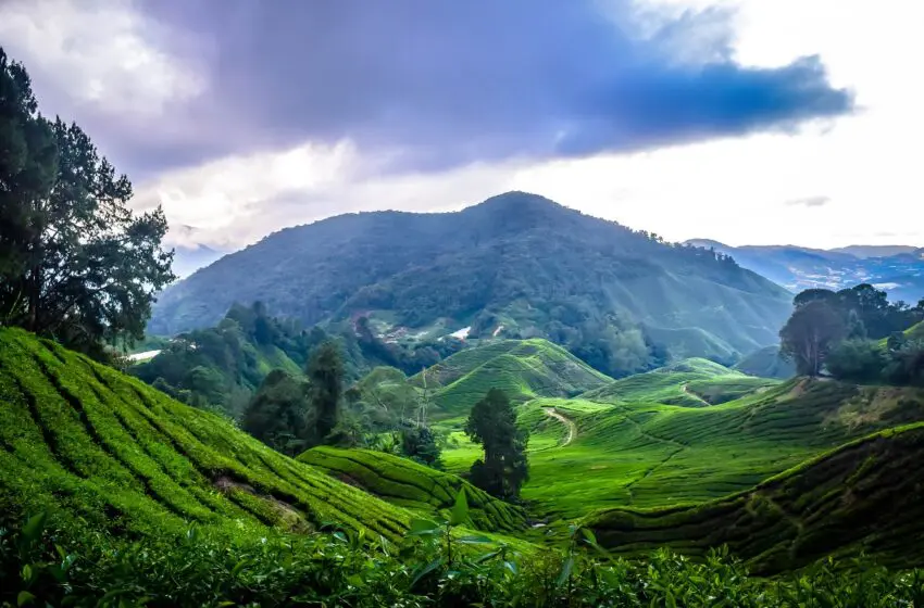  Kerala travel guide: Visit the jewel of South India