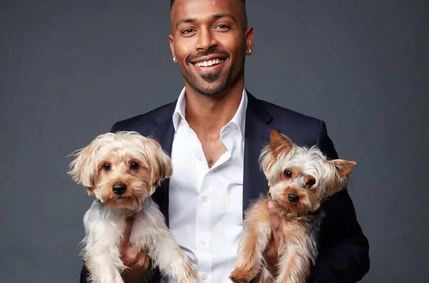  In pictures: Which IPL cricketer’s dog is the cutest?