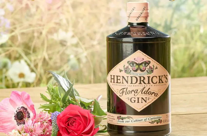  Refreshing encounters with Hendrick’s Gin
