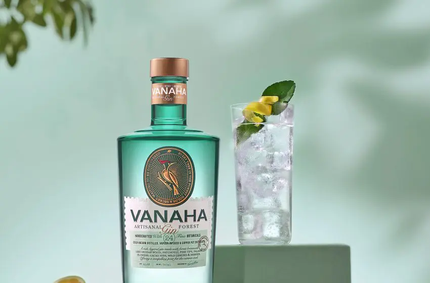  Sustainable Sip: Green Is The New Gin