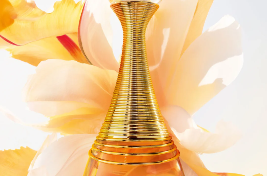  Tamil Nadu to Paris: The Indian roots of French Perfumery