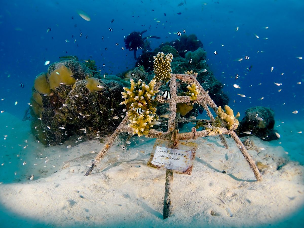 Kandima Maldives