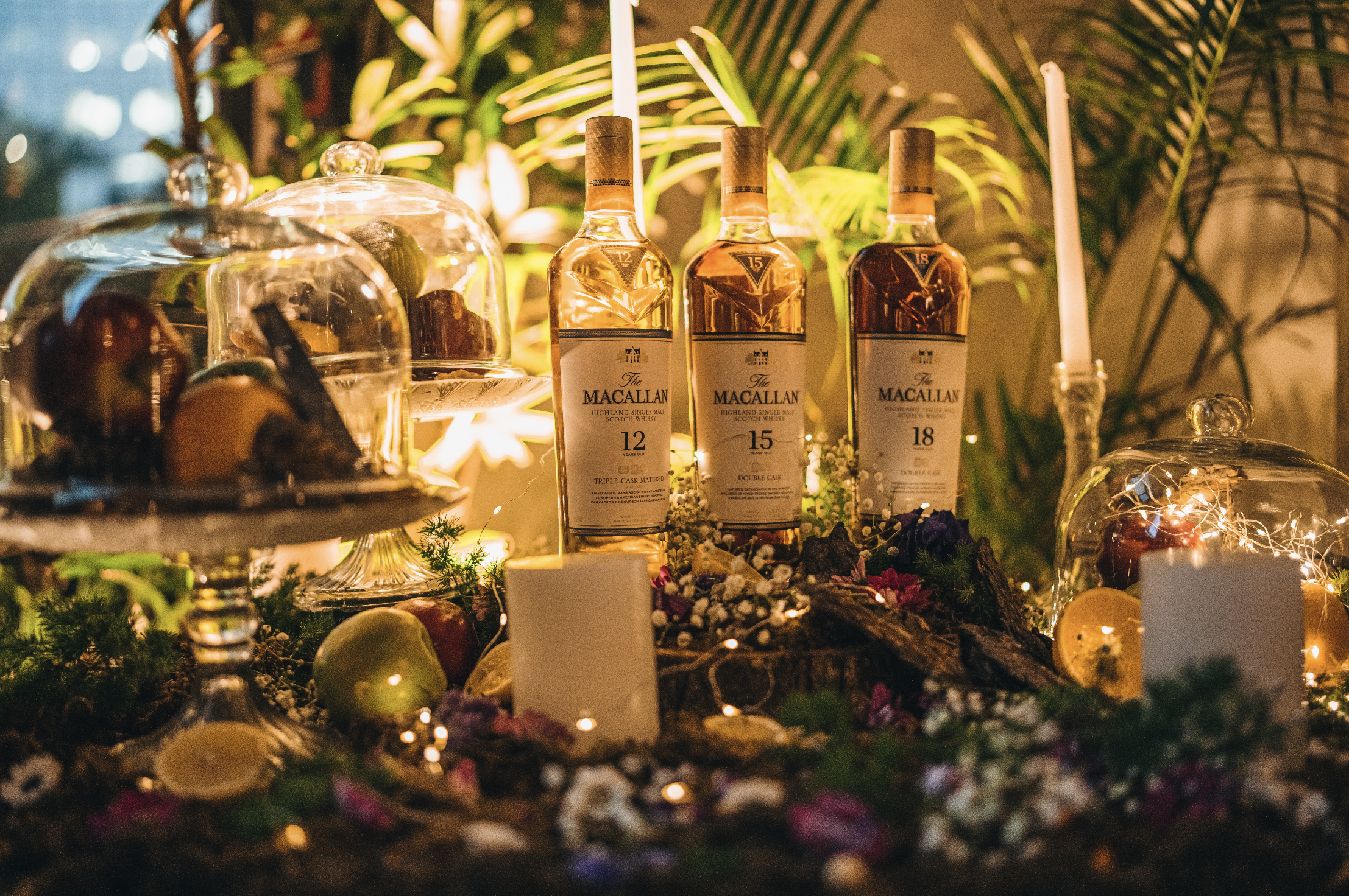 Macallan x Whisky Samba