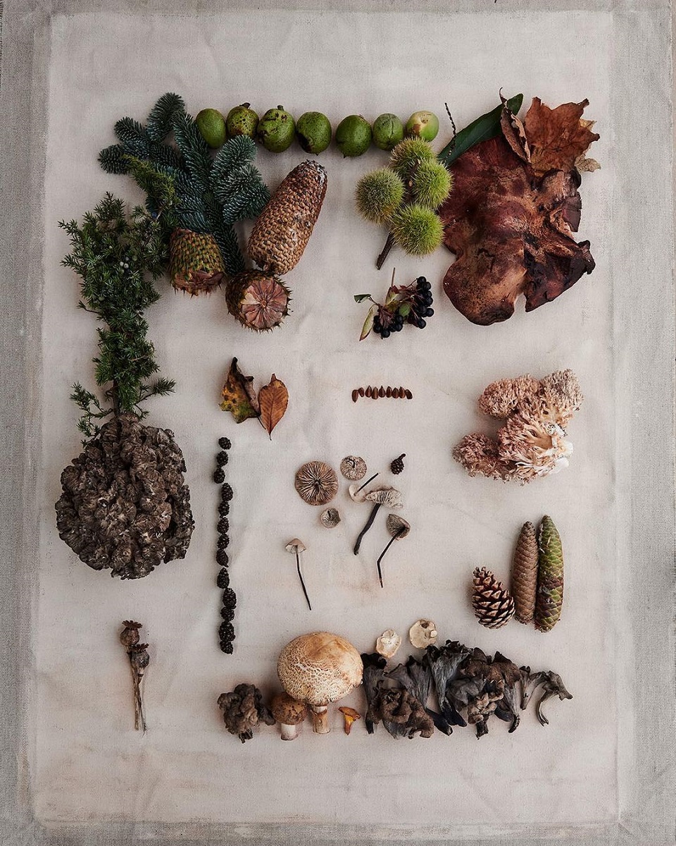 Noma Restaurant