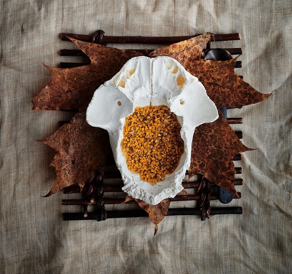 Noma Restaurant