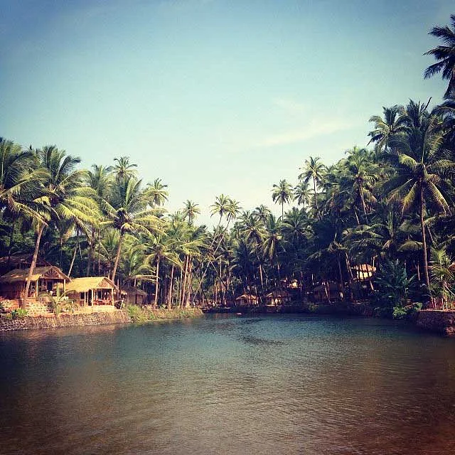 Goa backwaters 