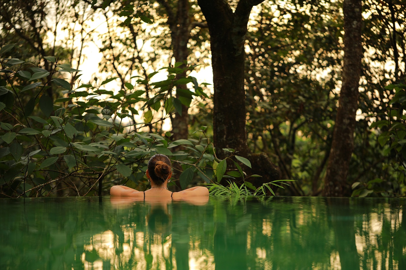 Wayanad Wild