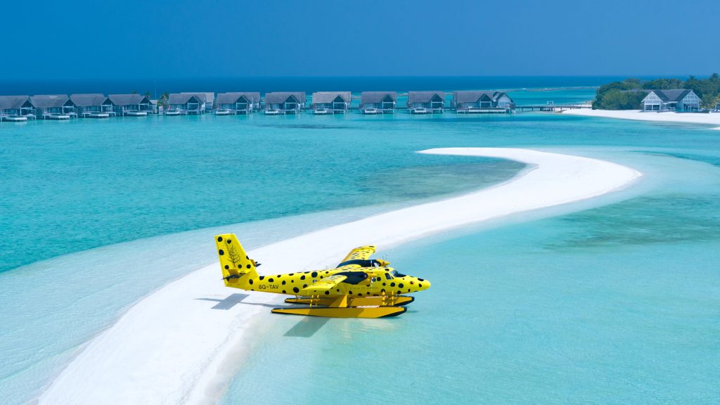 The-Flying-Boxfish-Seaplane
