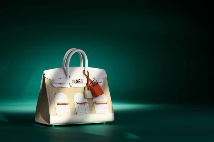 Hermès Birkin 20 Sellier Neige
