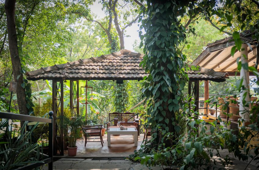  Goa’s best kept secret: Wildflower Villas, A Forest Estate right next to Anjuna